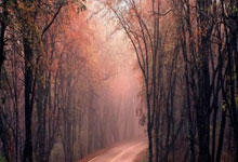 非凡娱乐官网：约一万两千名赛会志愿者服务杭州亚残运会 以温暖服务展青春风采（聚焦亚残运）人民日报.