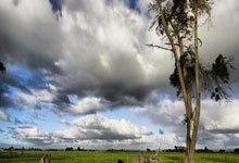 非凡娱乐官网：[NBA]詹姆斯持球单打 转身突破打板上篮得分.