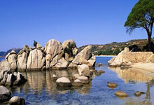 非凡娱乐官网:CBA疯狂一夜,两场超级大逆转,诞生三大赢家一个输家.